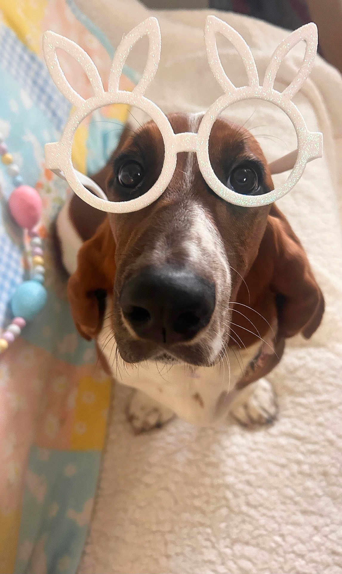 Arlo