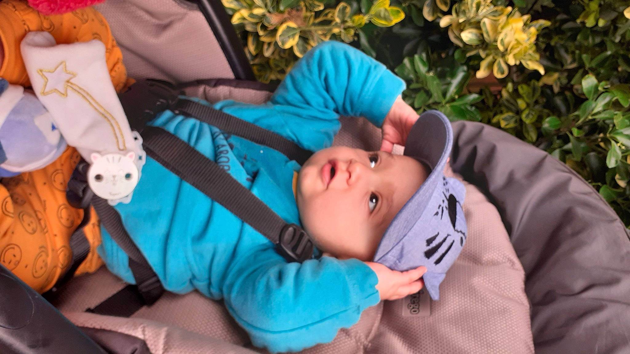 Lyam participe au concours pour gagner de l'argent avec cette photo : arm, baby, baby_products, baby_toddler_clothing, child, comfort, fashion_accessory, fun, grass, headwear, leisure, linens, mammal, nap, person, plant, portrait_photography, sitting, sleep, toddler