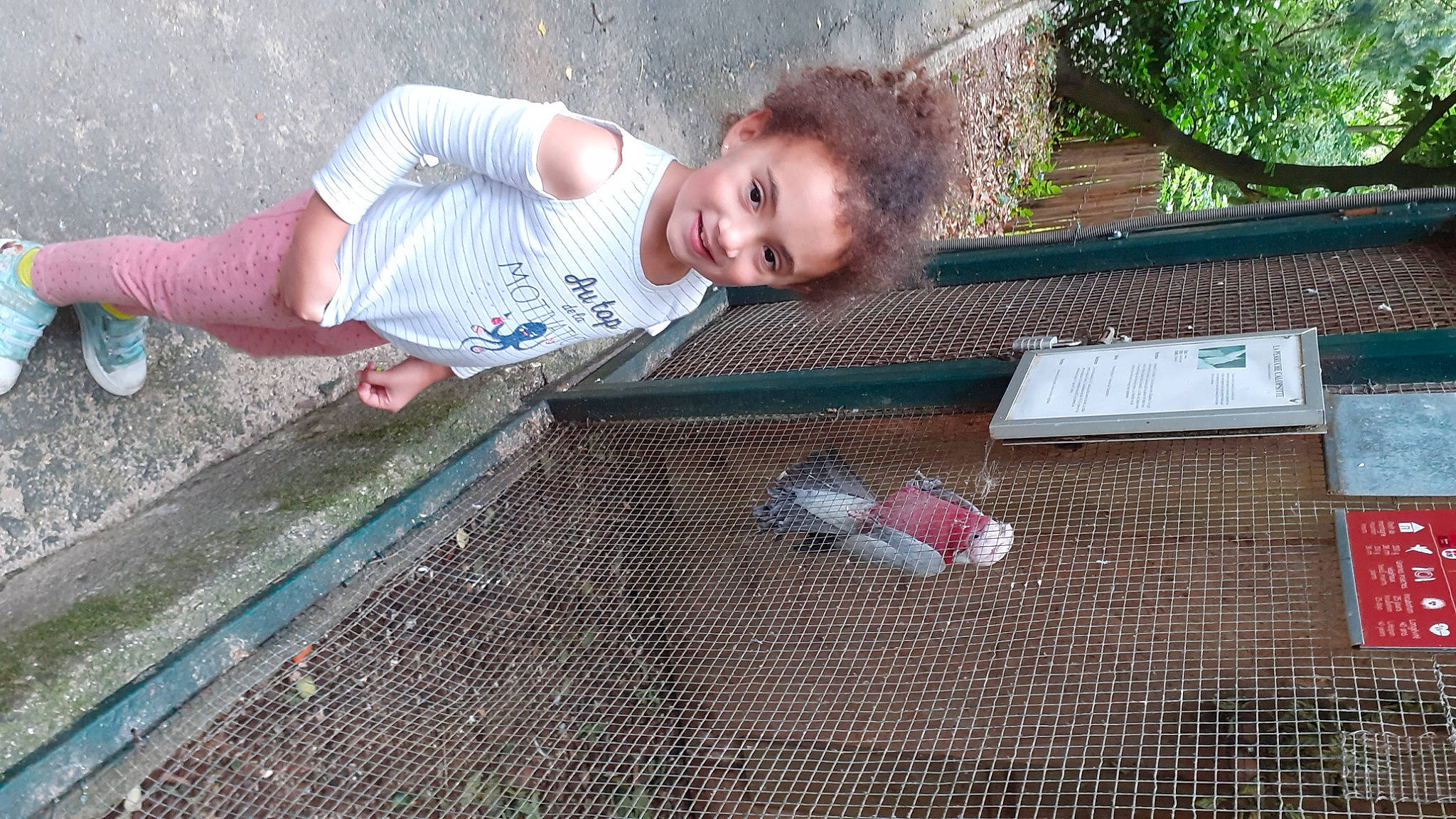 Lana a rejoint le concours — aidez-le/la à gagner de superbes lots ! baby, baby_toddler_clothing, cage, child, foot, fun, grass, head, joy, leisure, mesh, net, person, pink, plant, recreation, smile, soil, toddler, tree