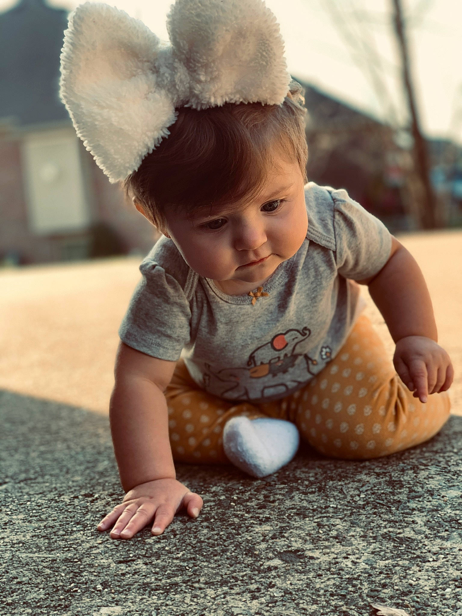Kaislee Jayde is registered to the contest to win money with this photo: baby, baby_crawling, baby_toddler_clothing, ball, cheek, child, child_model, costume_accessory, crawling, finger, foot, hair_accessory, headband, headgear, headpiece, person, play, skin, thumb, toddler