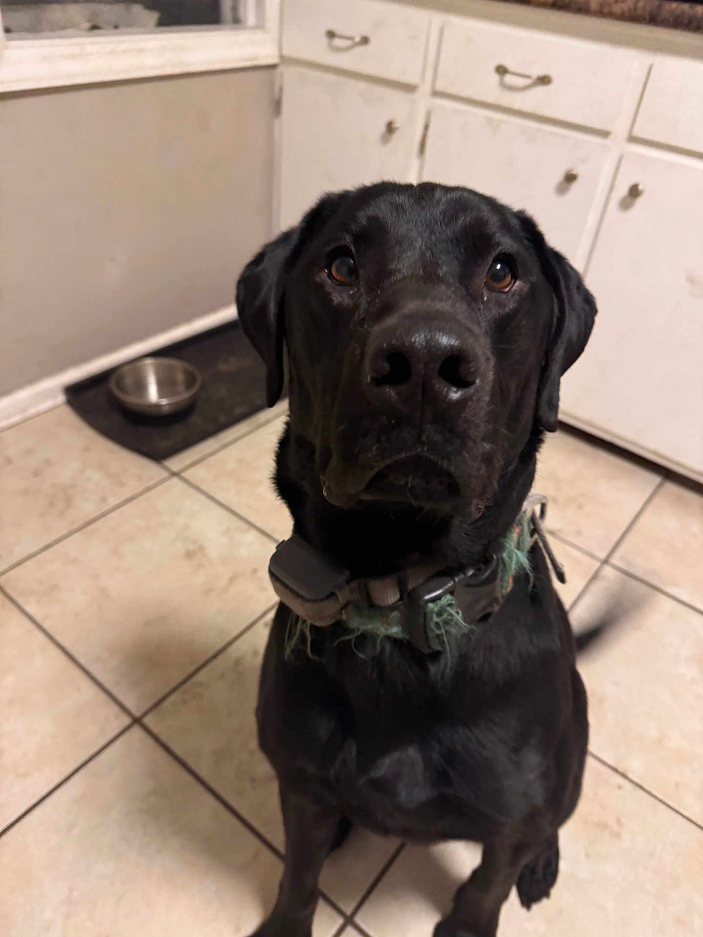 Maverick