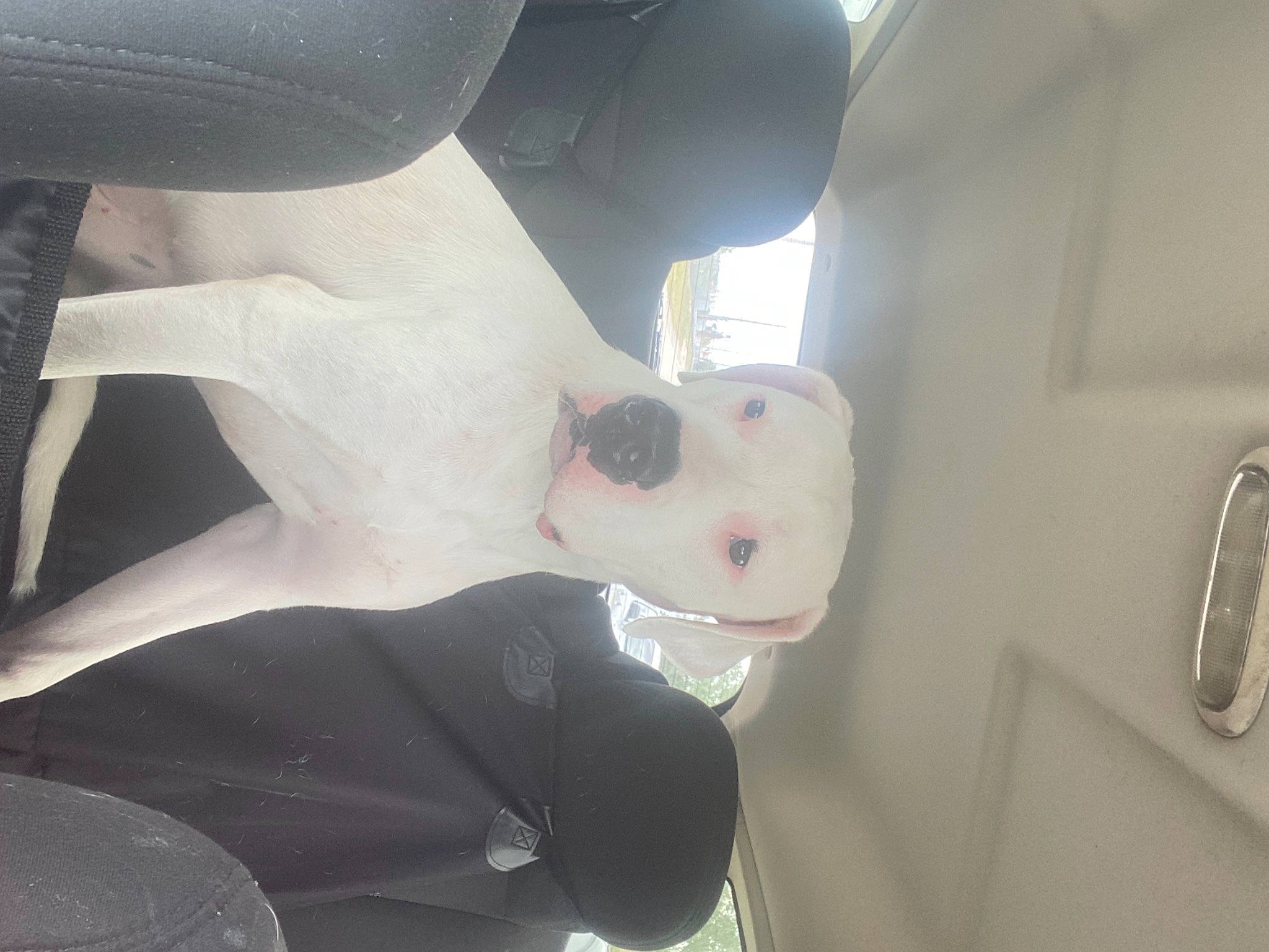 Zoey is registered to the contest to win money with this photo: arm, chest, dress, elbow, eye, eyewear, finger, gesture, glasses, hand, headgear, human_body, jaw, joint, leg, neck, shoulder, thigh, vision_care, waist