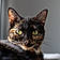 Nala
