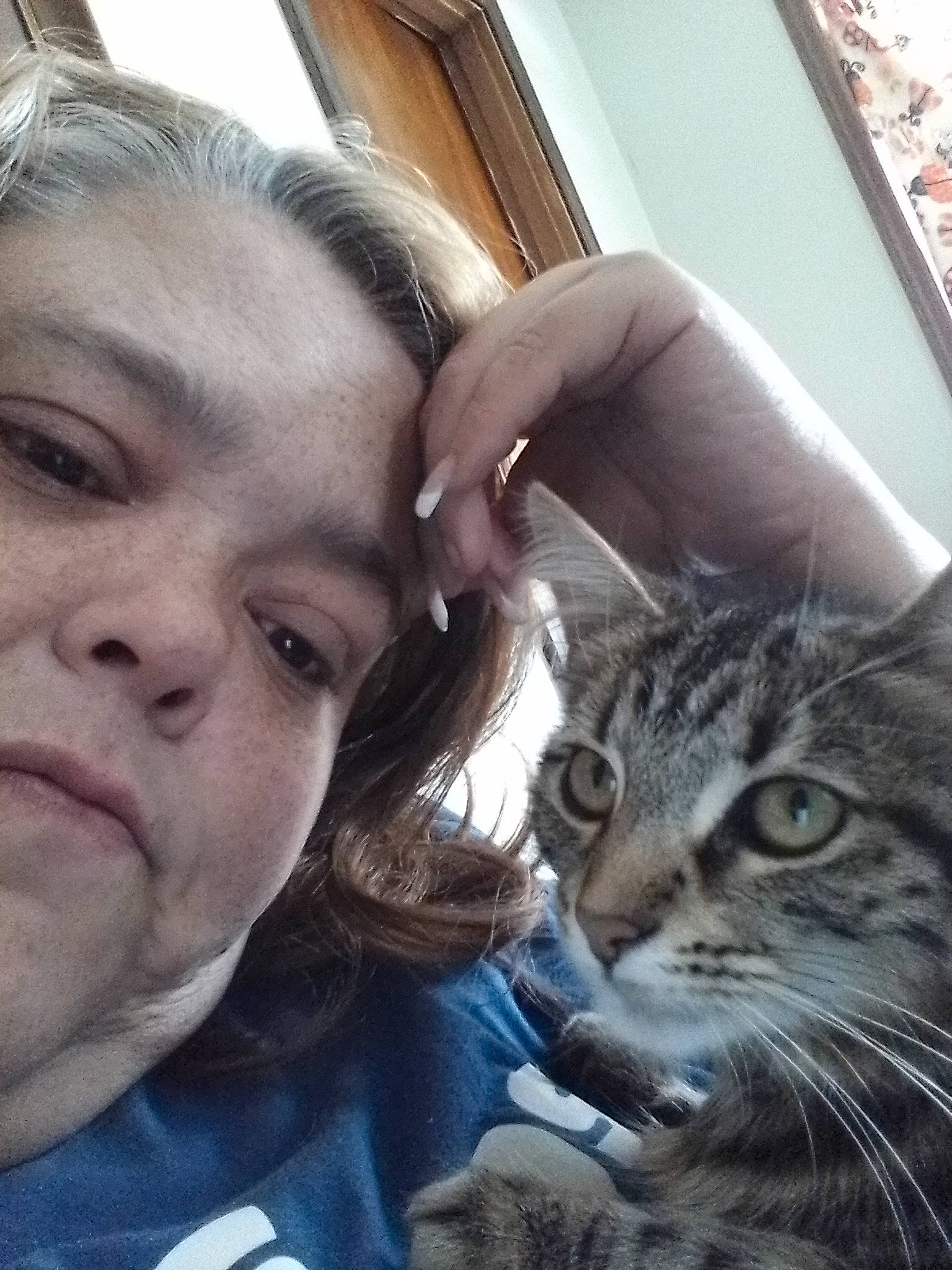 Sophie is registered to the contest to win money with this photo: carnivore, cat, ear, eye, eyelash, eyewear, felidae, fur, gesture, happy, interaction, iris, jaw, nose, organ, selfie, small_to_medium_sized_cats, snapshot, snout, whiskers