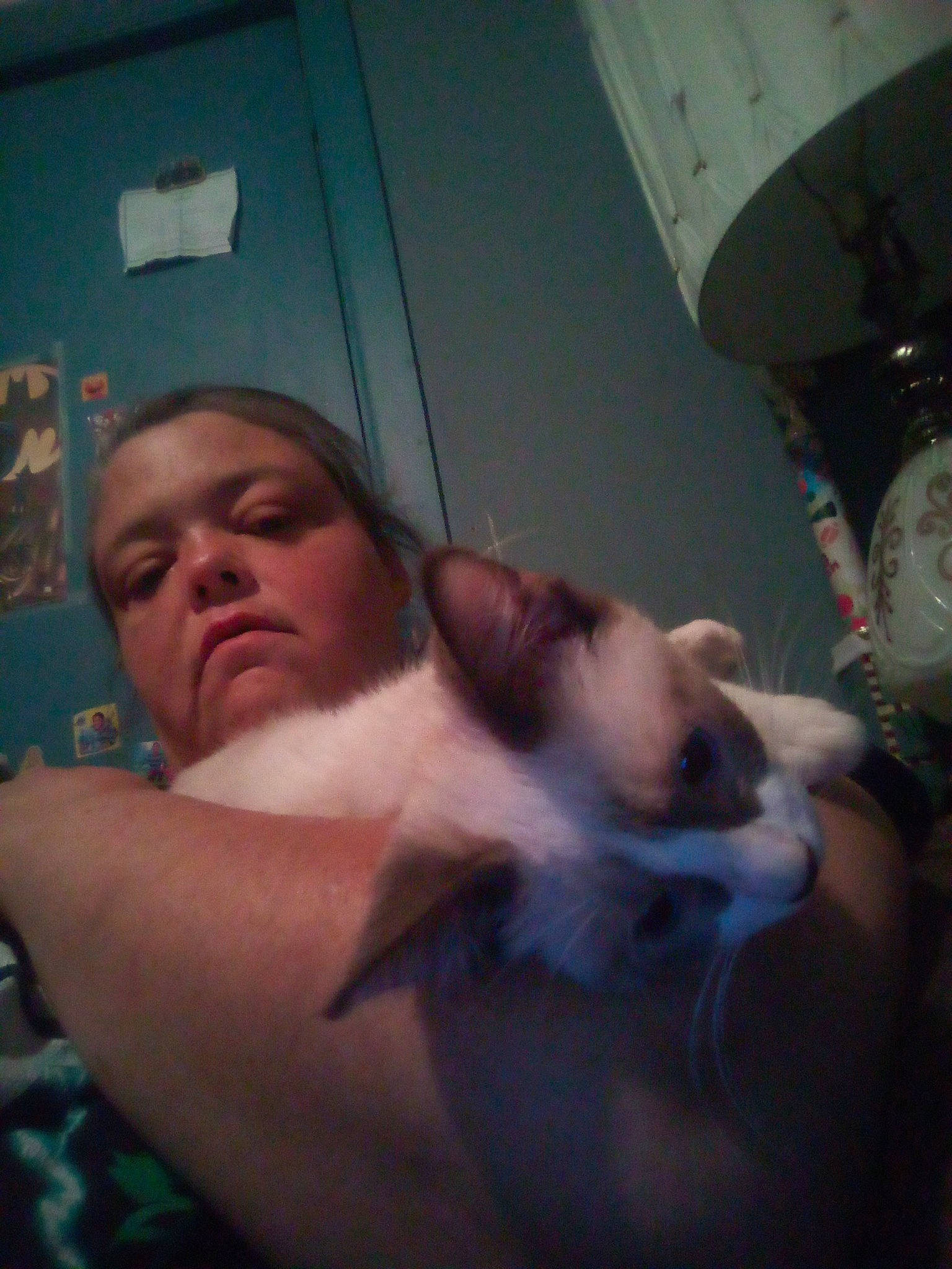 Oliver is registered to the contest to win money with this photo: abdomen, barechested, black_hair, carnivore, cat, chest, comfort, companion_dog, eyebrow, fawn, felidae, fun, gesture, jaw, mouth, neck, shoulder, small_to_medium_sized_cats, trunk, whiskers