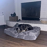 Chance is registered to the contest to win money with this photo: dog, sleeping, dog_bed, plush, indoor, fireplace, white_brick, wood_floor, dumbbells, wicker_basket, pet, resting, canine, furniture, cozy, quiet, home, floor, paw_prints, calm