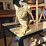 cat, chair, cozy, curious, domestic_animal, floor_tiles, framed_art, furniture, golden_eyes, home, indoor, pet, shadow, sunlight, tabby_cat, table, tail, walking, whiskers, wooden_table
