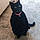 Pepper
