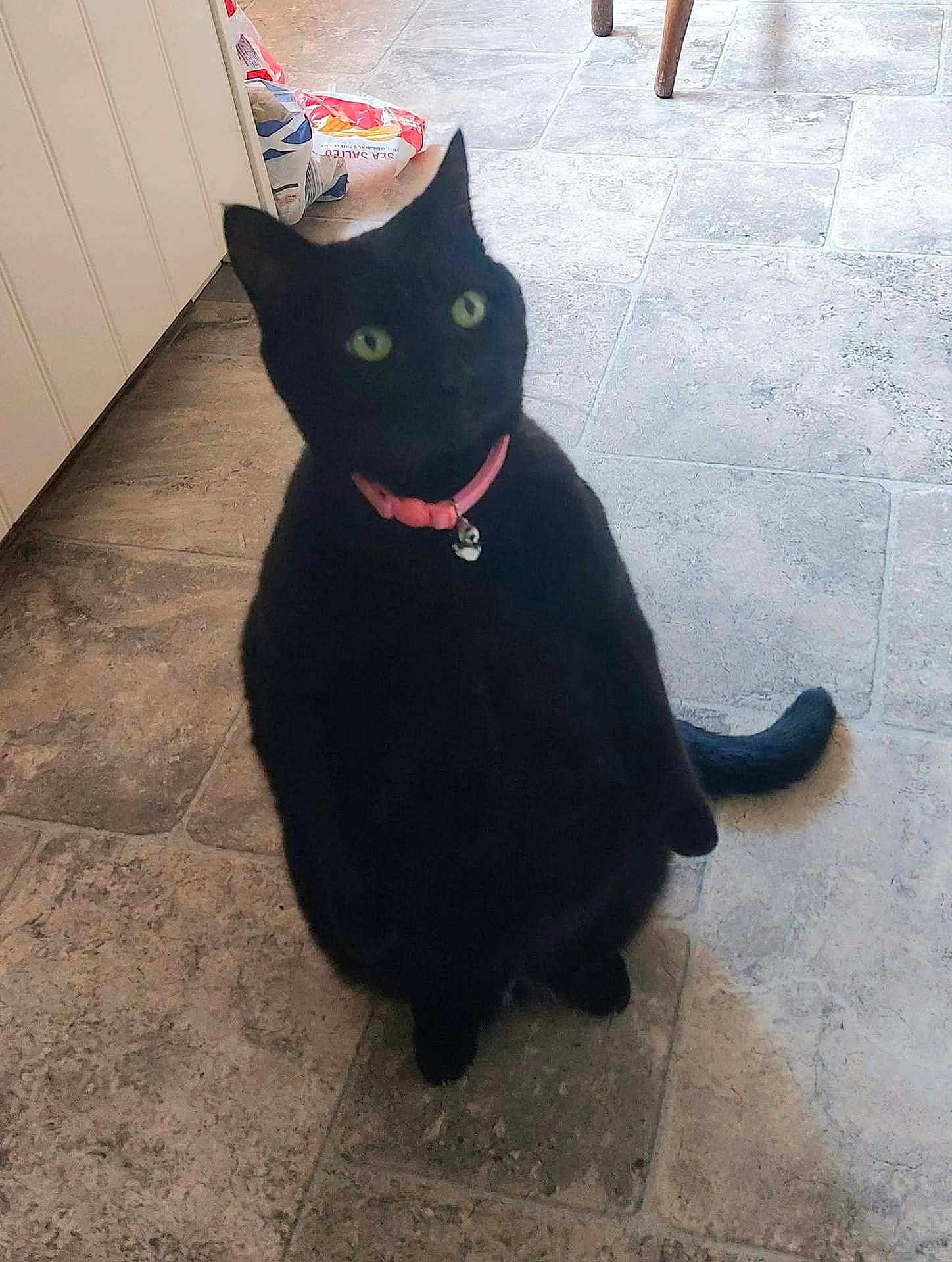 Pepper
