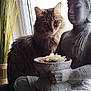cat, tabby_cat, statue, buddha, window, natural_light, decor, stone, figurine, sitting, fur, plant, serene, indoor, peaceful, contemplative, bowl, ornaments, closeup, texture