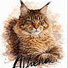 cat, maine_coon, fluffy, long_hair, brown, tabby, portrait, watercolor, illustration, digital_art, animal, pet, feline, green_eyes, whiskers, ears, close_up, white_background, text, athena