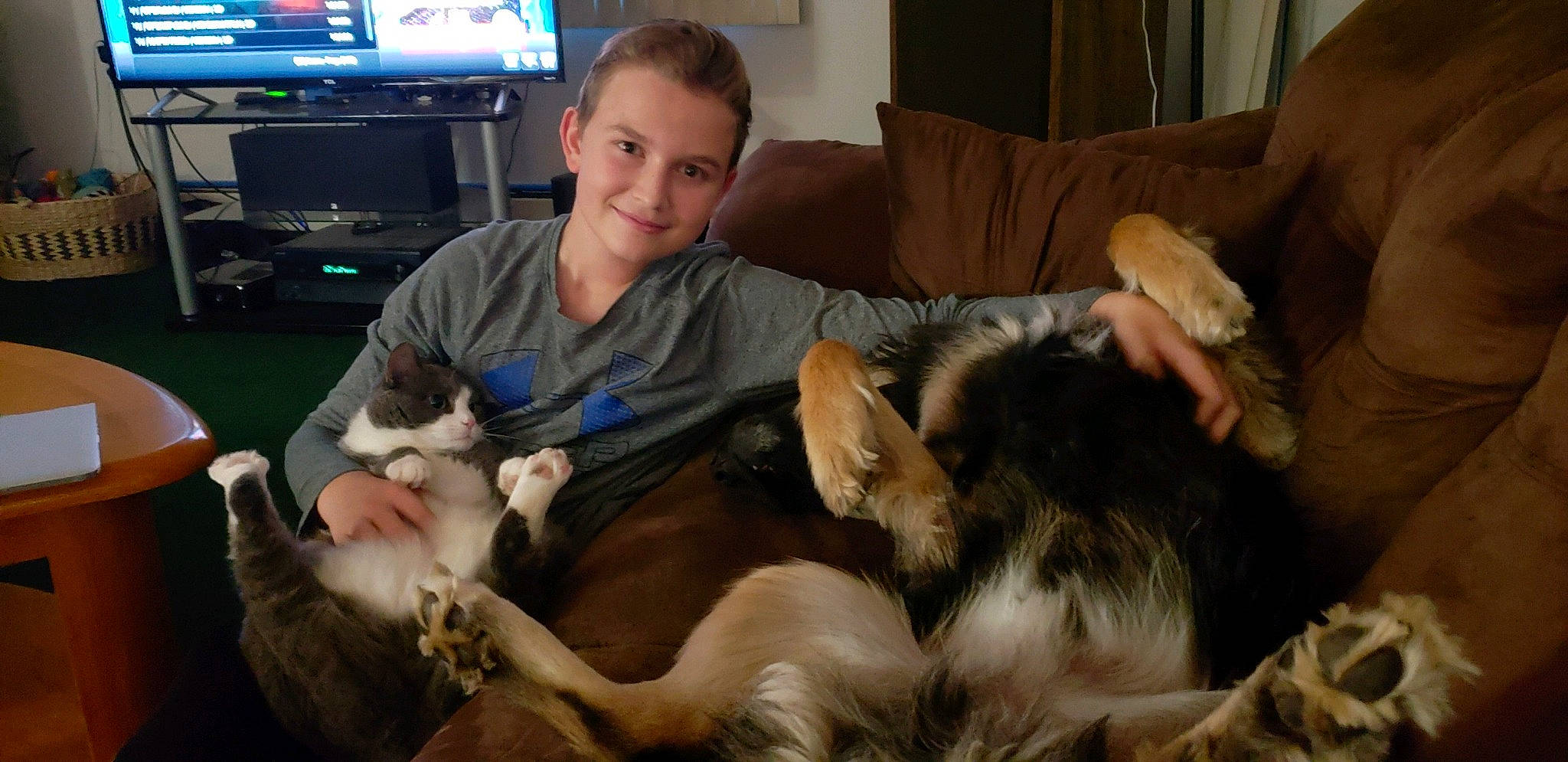 Bear is registered to the contest to win money with this photo: canidae, carnivore, cat, dog_breed, ear, felidae, fur, joy, kitten, person, small_to_medium_sized_cats