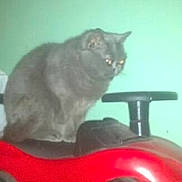 Maya a rejoint le concours — aidez-le/la à gagner de superbes lots !