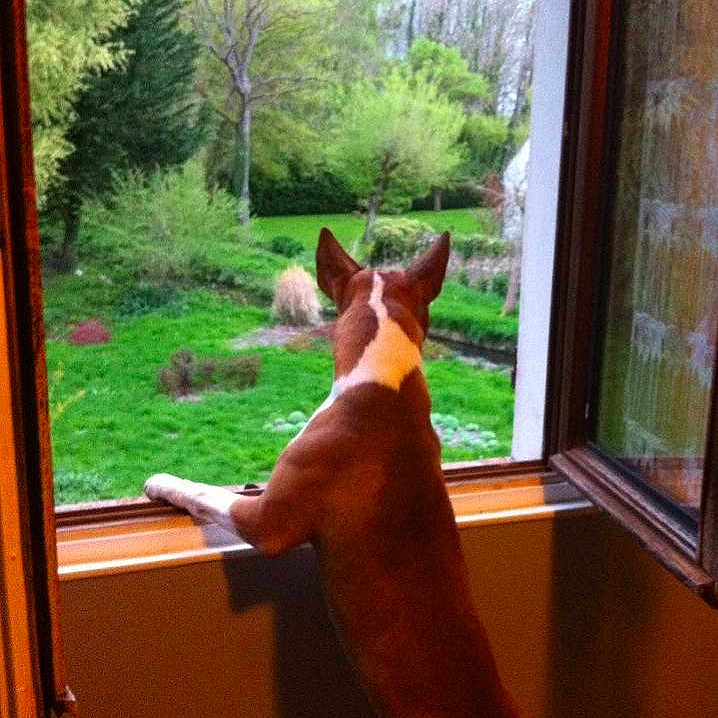 Héros a rejoint le concours — aidez-le/la à gagner de superbes lots !