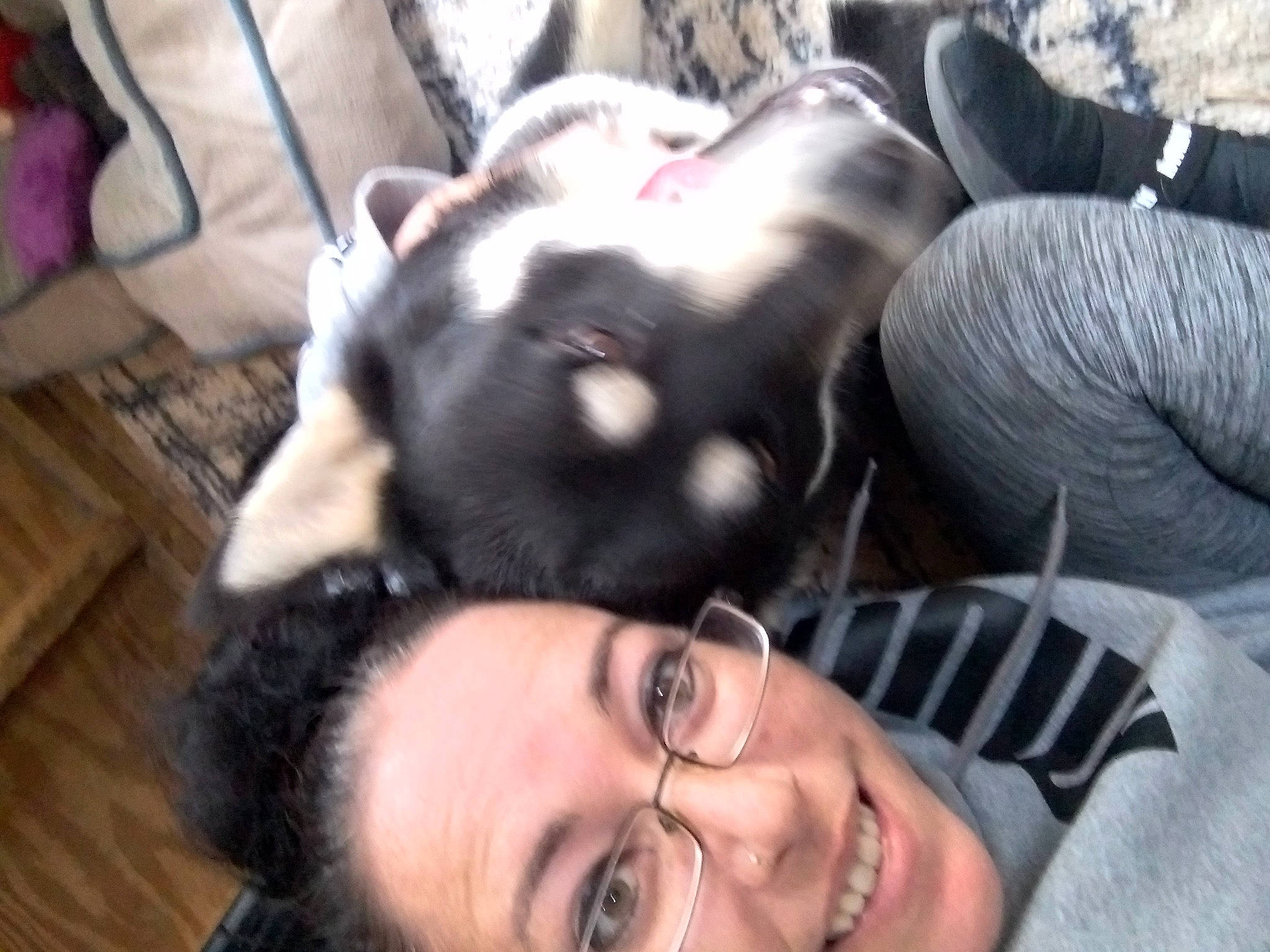 Blaze joined the competition — help win amazing prizes! black_hair, boston_terrier, carnivore, comfort, companion_dog, dog, dog_breed, event, eyewear, flash_photography, fun, fur, gesture, happy, head, laugh, selfie, smile, toy_dog, whiskers