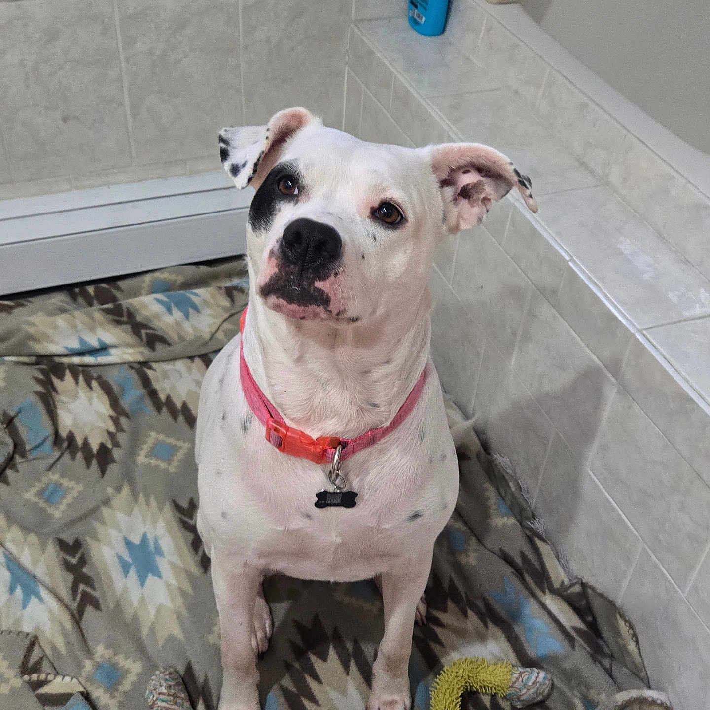 Syla