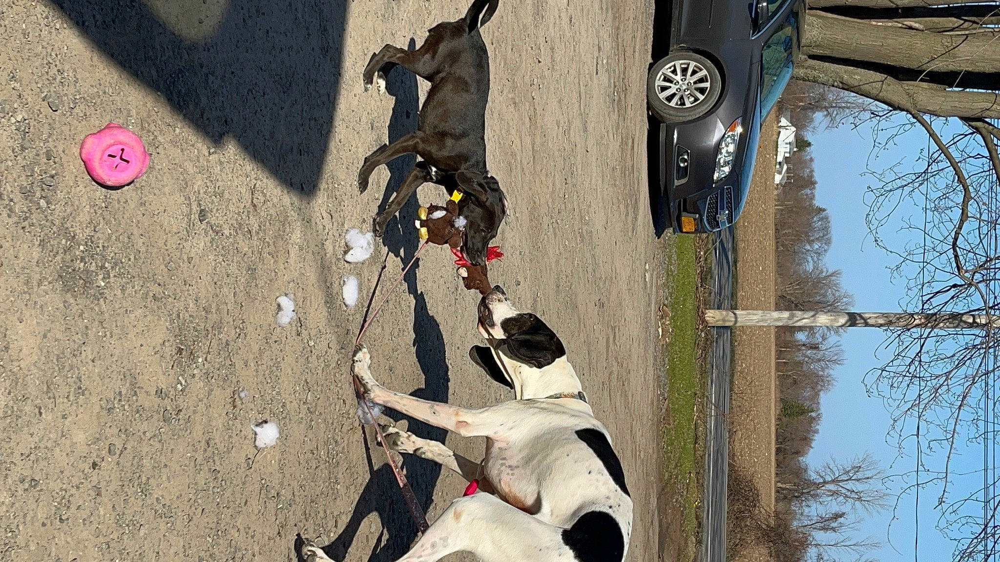 Luzille joined the competition — help win amazing prizes! art, asphalt, automotive_exterior, automotive_tire, bicycle_tire, concrete, fender, light, line, motor_vehicle, road_surface, snapshot, synthetic_rubber, tire, tire_care, tread, tree, vehicle, vehicle_door, wheel