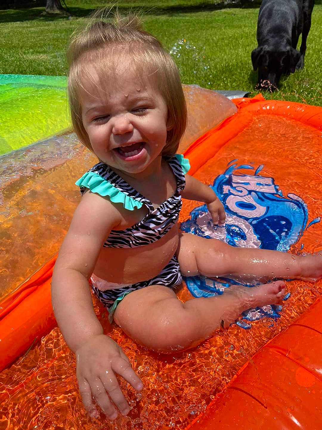 Delilah is registered to the contest to win money with this photo: baby, baby_toddler_clothing, child, dog, fun, grass, green, happy, human_leg, leisure, people_in_nature, person, plant, play, recreation, sitting, smile, summer, thigh, toddler