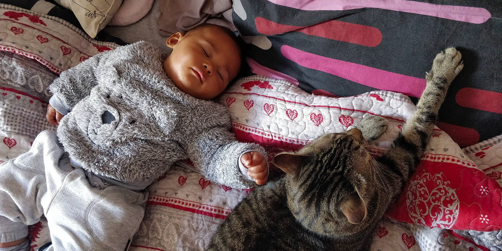 Sévan participe au concours pour gagner de l'argent avec cette photo : baby, bedtime, carnivore, cat, child, felidae, nap, person, sleep, small_to_medium_sized_cats, textile, wool