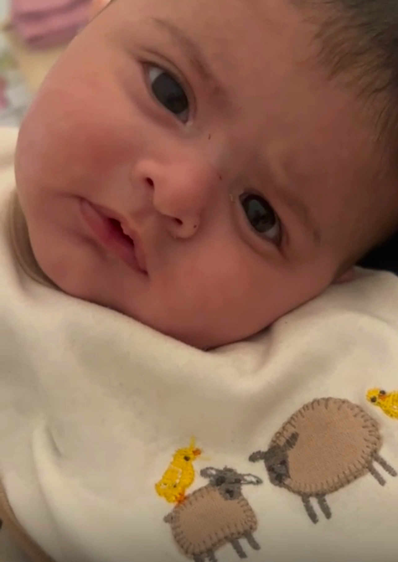 Zaviyar joined the competition — help win amazing prizes! baby, face, closeup, curious, expression, infant, child, clothing, embroidered, sheep, bird, soft, cute, portrait, young, skin, head, eyes, warm, indoors