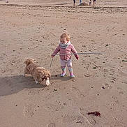 Andie participe au concours pour gagner de l'argent avec cette photo : toddler, child, dog, beach, sand, leash, boots, jacket, outdoor, footprints, building, people, sky, walking, pet, animal, coast, play, scenic, daytime