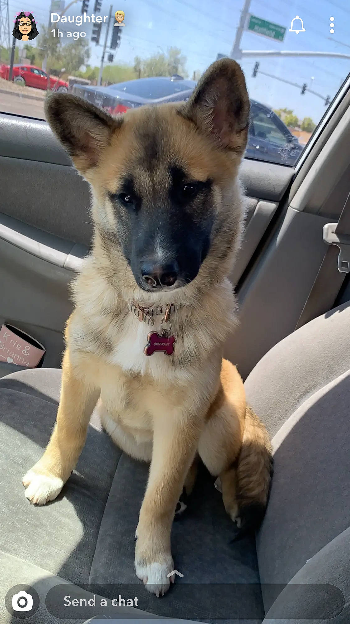 Queensley is registered to the contest to win money with this photo: automotive_mirror, car, carnivore, collar, companion_dog, dog, dog_breed, door, eye, fawn, german_shepherd_dog, herding_dog, sky, snout, sporting_group, vehicle, window, windshield, working_animal, working_dog