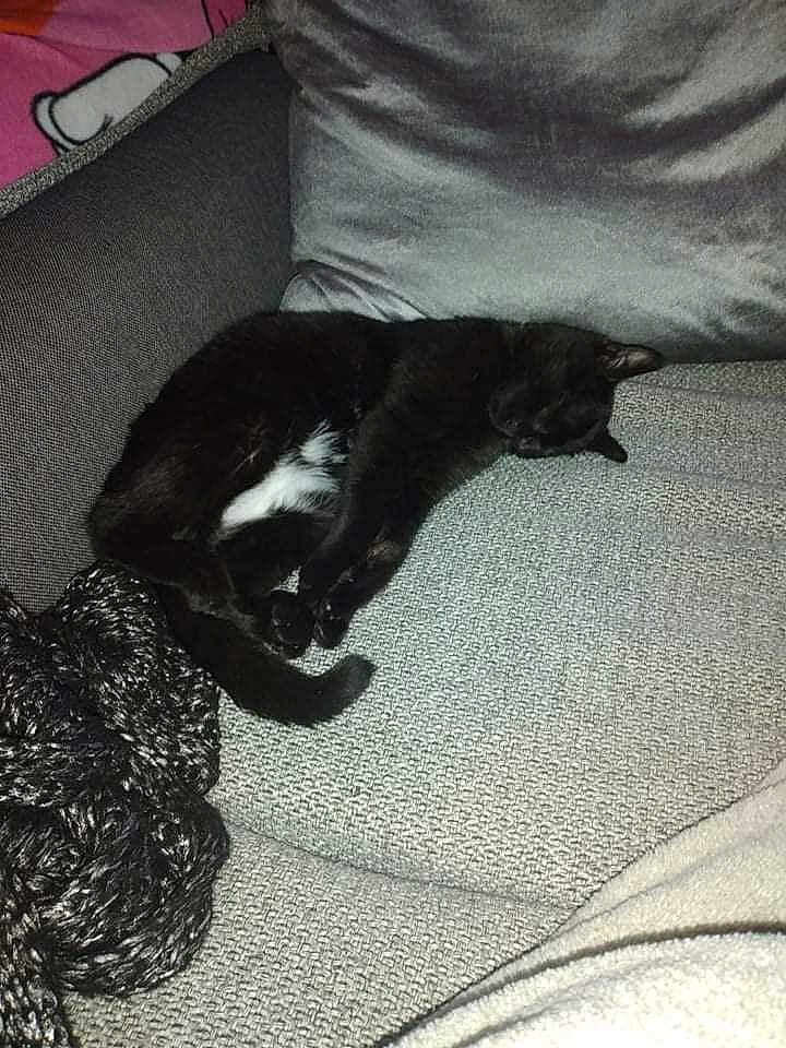 Onyx