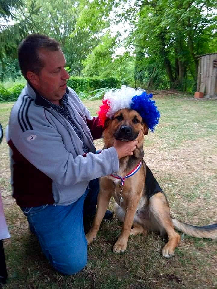 Nougat participe au concours pour gagner de l'argent avec cette photo : dog, dog_breed, dog_breed_group, dog_like_mammal, dog_walking, person, vertebrate