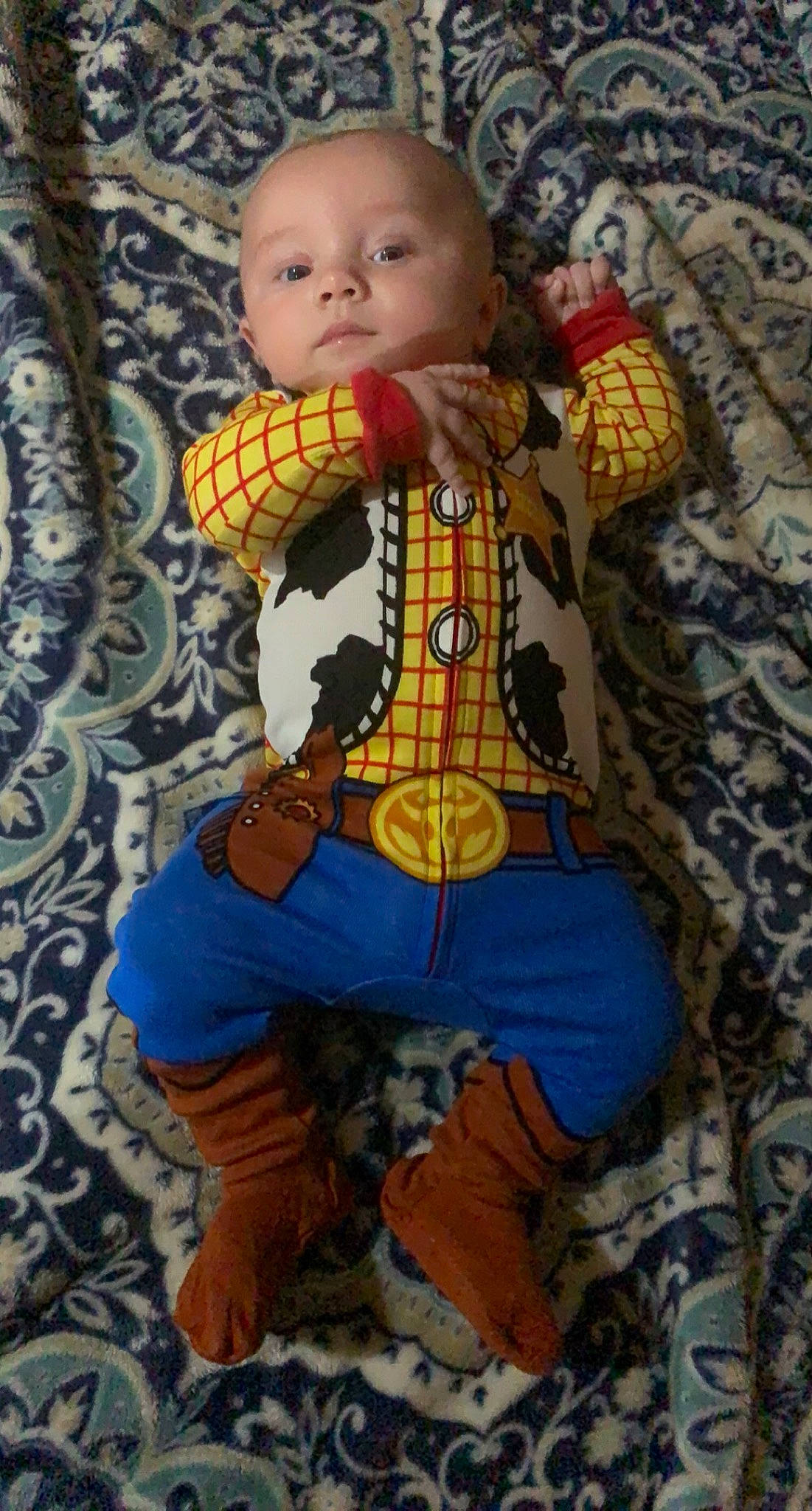 Collin is registered to the contest to win money with this photo: art, baby, baby_products, baby_toddler_clothing, carnivore, companion_dog, dog, dog_clothes, dog_supply, doll, eye, fawn, head, headgear, outerwear, pattern, person, sleeve, textile, toddler