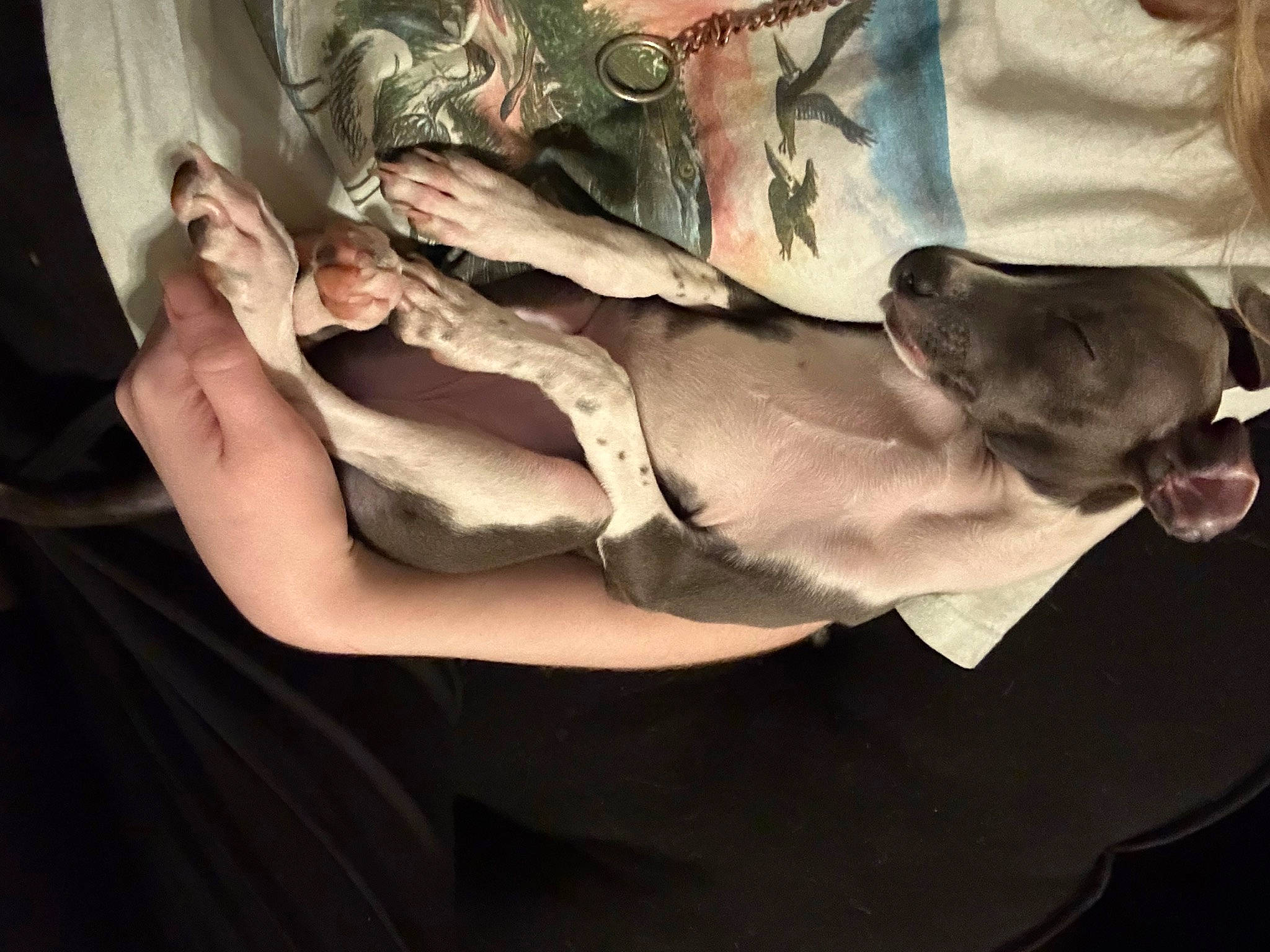 Lulu is registered to the contest to win money with this photo: abdomen, bedding, chest, comfort, elbow, flesh, fur, gesture, human_leg, knee, linens, nail, room, sitting, sleeve, thigh, uniform, visual_arts, wrist