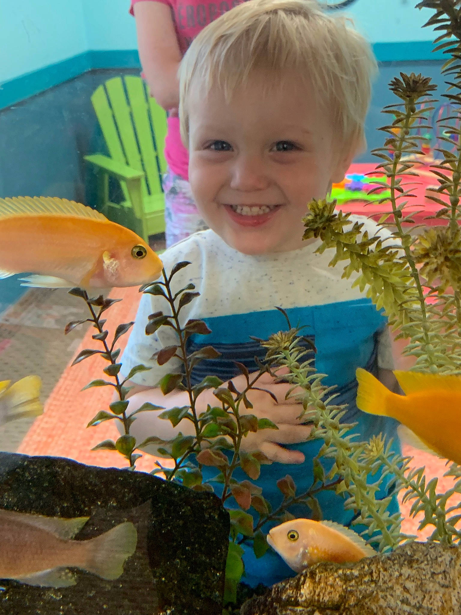 Kingston joined the competition — help win amazing prizes! adaptation, aquarium, child, fawn, fish, happy, joy, organism, person, plant, play, smile, summer, toddler, tree, vacation