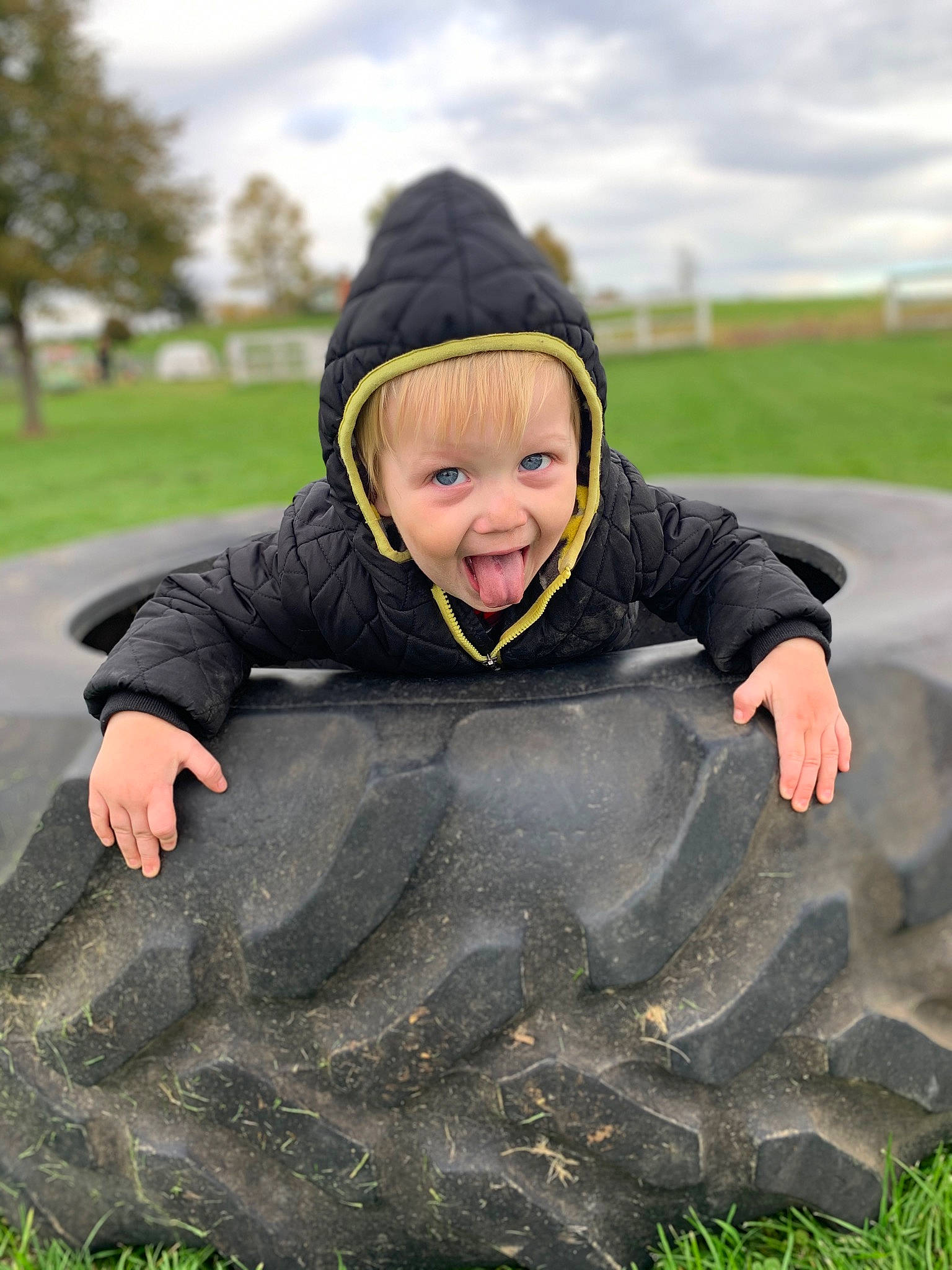 Kingston joined the competition — help win amazing prizes! child, fun, grass, grassland, happy, headwear, jacket, joy, lawn, leisure, outerwear, person, photography, plant, play, smile, soil, toddler
