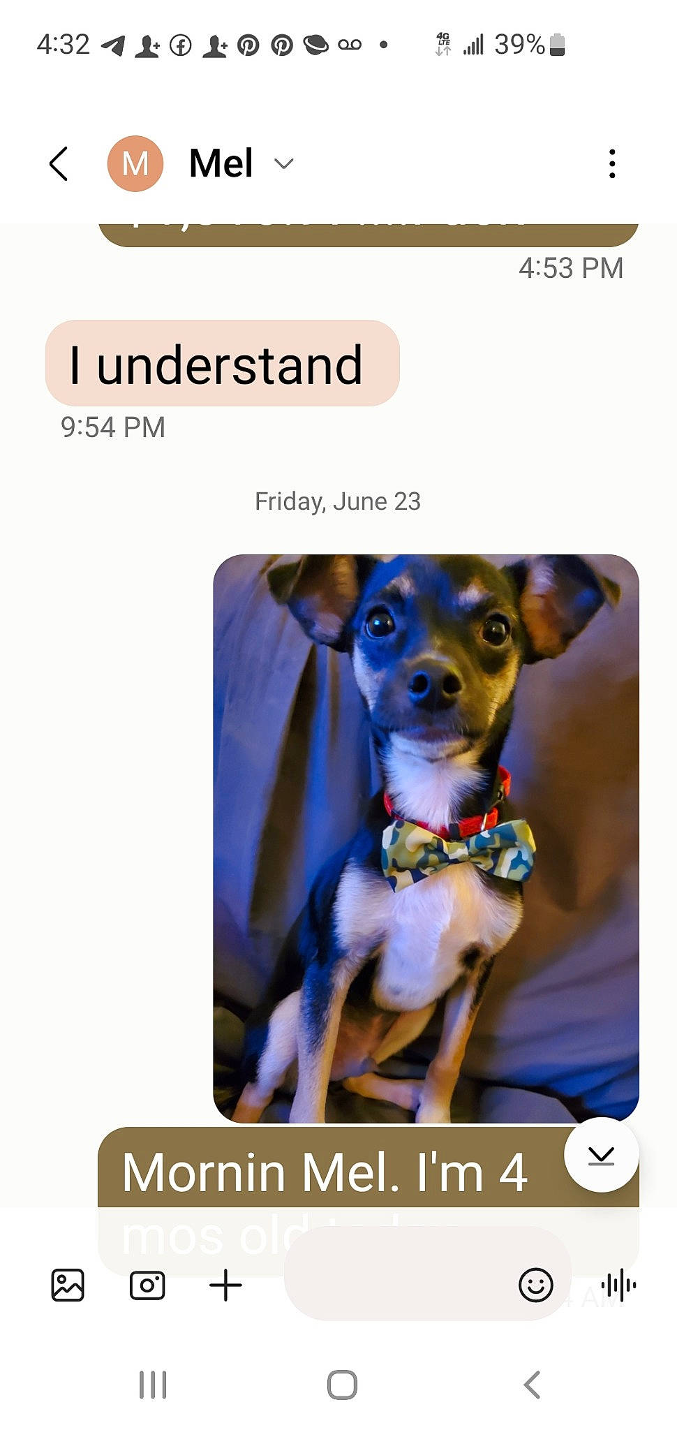 Jesus joined the competition — help win amazing prizes! advertising, canidae, carnivore, circle, companion_dog, dog, dog_breed, dog_supply, electric_blue, font, internet_meme, magenta, photo_caption, terrestrial_animal, toy_dog, working_animal