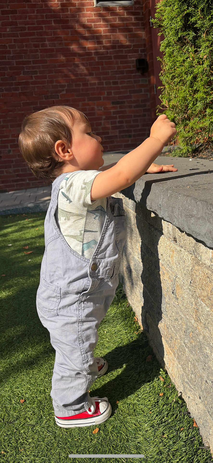 Christopher joined the competition — help win amazing prizes! toddler, child, overalls, red_sneakers, grass, stone_wall, brick_wall, greenery, sunlight, outdoor, curious, standing, side_view, young_child, casual_clothing, nature, daylight, exploring, person, shoes