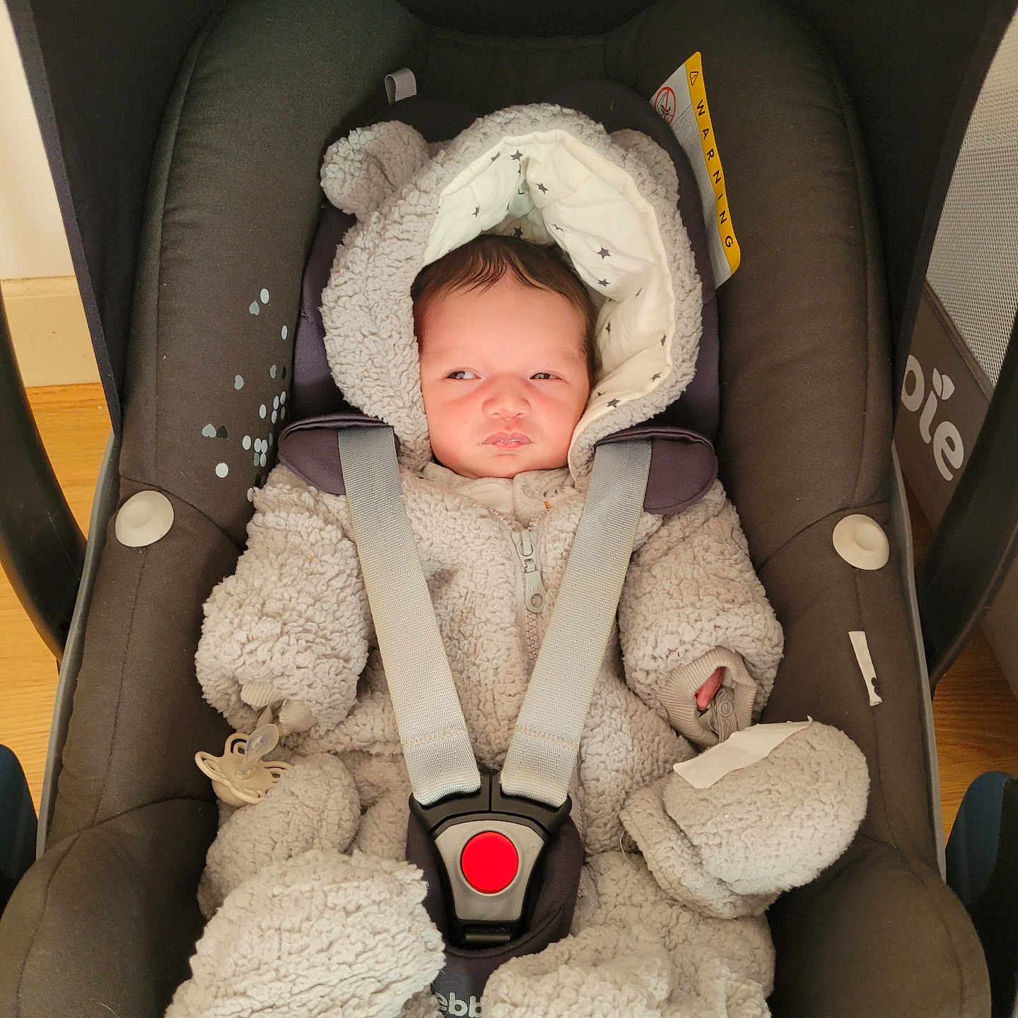 Leewenn participe au concours pour gagner de l'argent avec cette photo : baby, bundle, car_seat, child, clothing, cute, expression, face, floor, hood, indoor, infant, onesie, person, seatbelt, sitting, small, straps, warm, wooden_floor