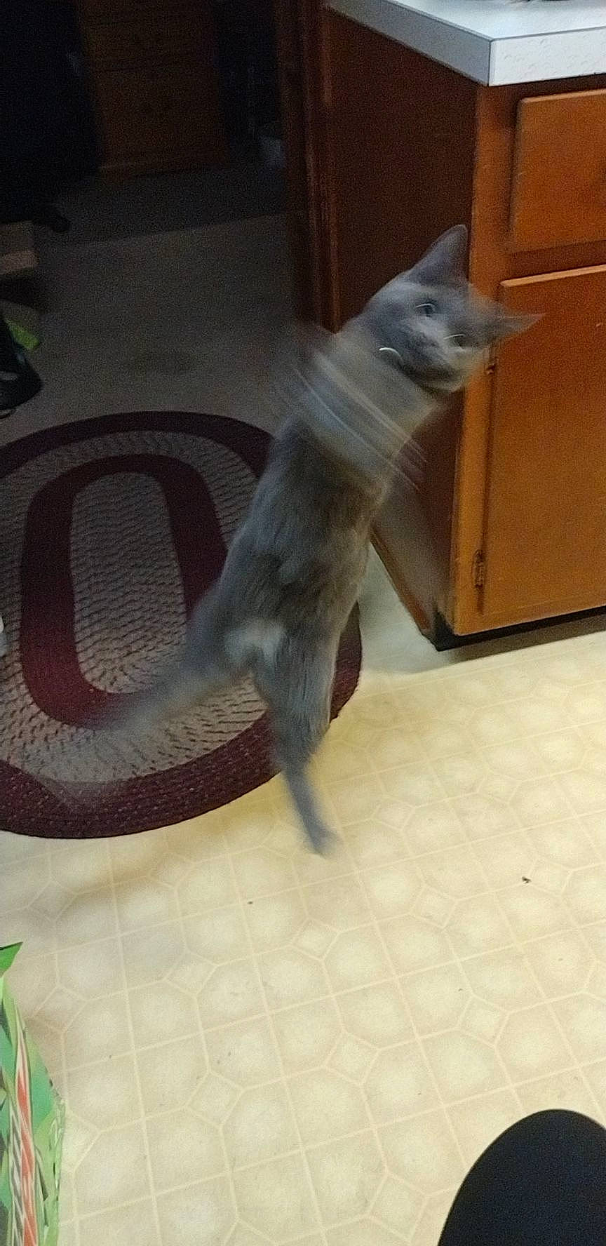 Loki