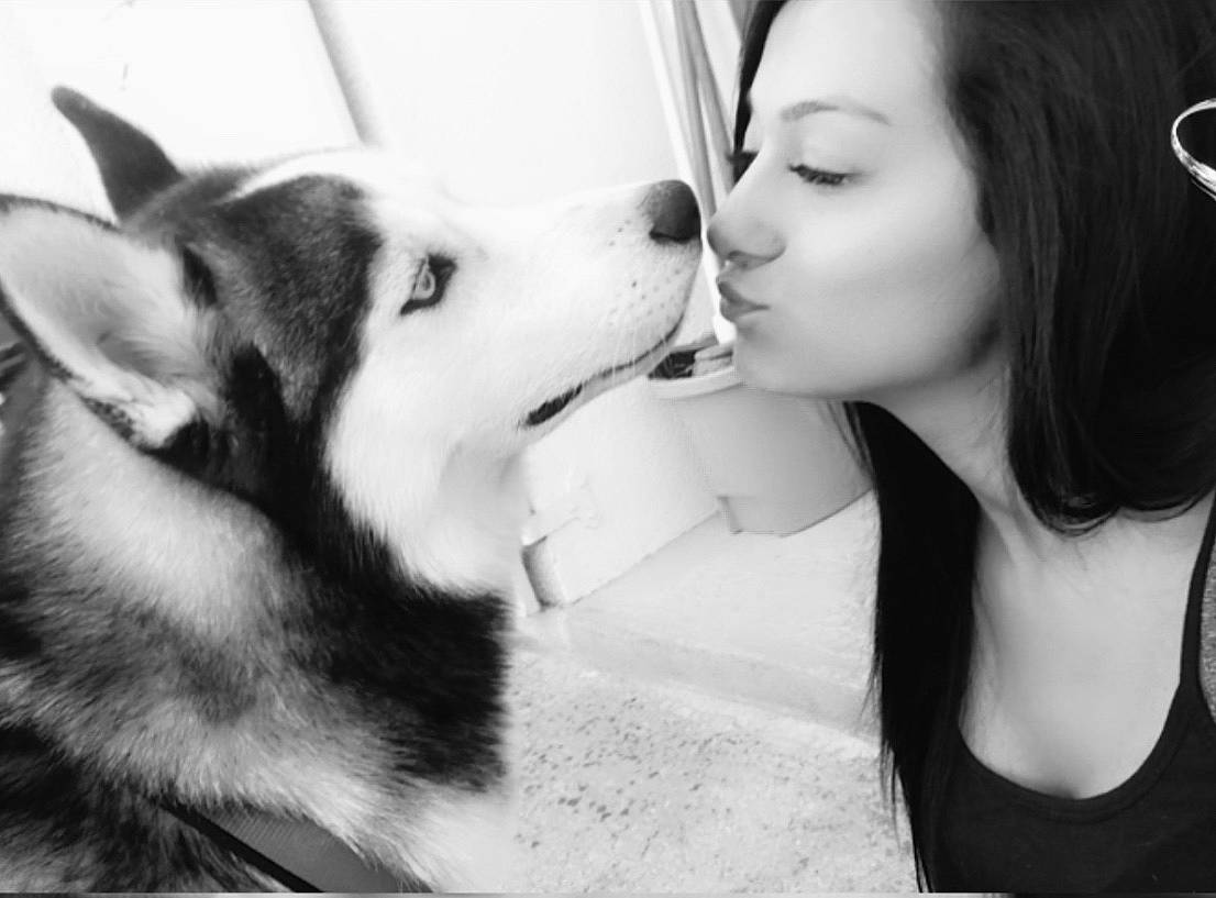 Lecko a rejoint le concours — aidez-le/la à gagner de superbes lots ! black_and_white, canidae, carnivore, companion_dog, dog, dog_breed, ear, eyelash, flash_photography, fur, gesture, happy, jaw, kiss, monochrome, monochrome_photography, nose, snout, style, working_dog