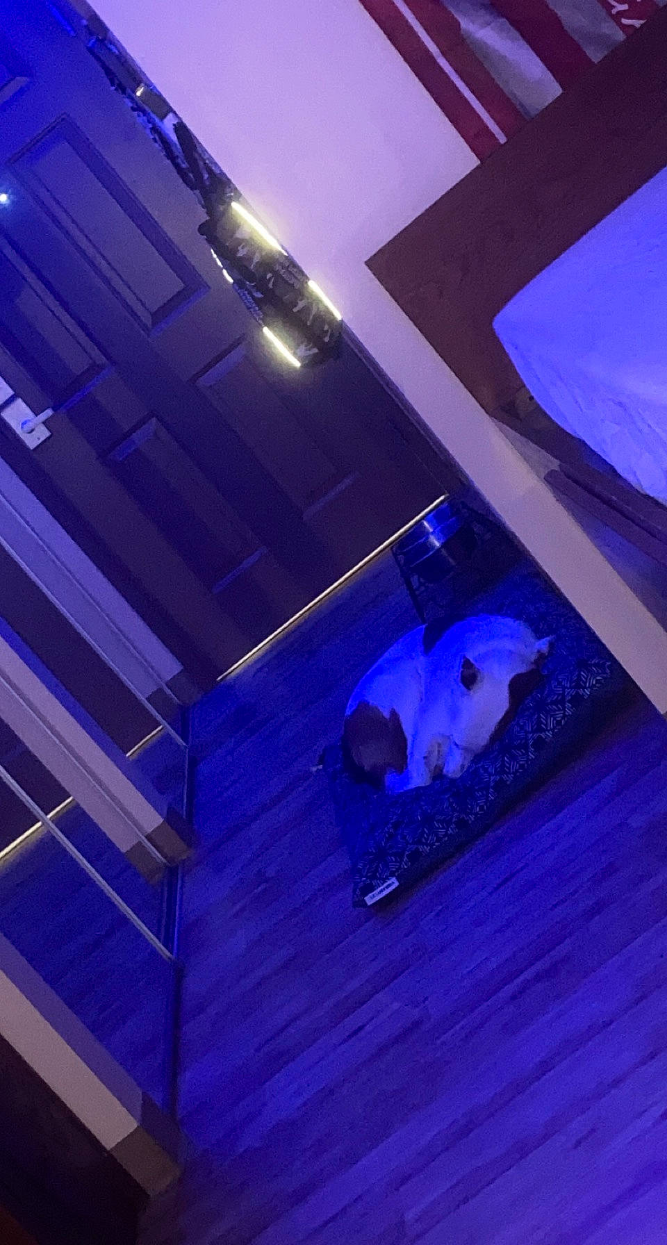 Diesel joined the competition — help win amazing prizes! blue, building, ceiling, electric_blue, entertainment, event, floor, flooring, hardwood, house, leisure, magenta, purple, room, sky, space, stairs, tints_and_shades, violet, wood