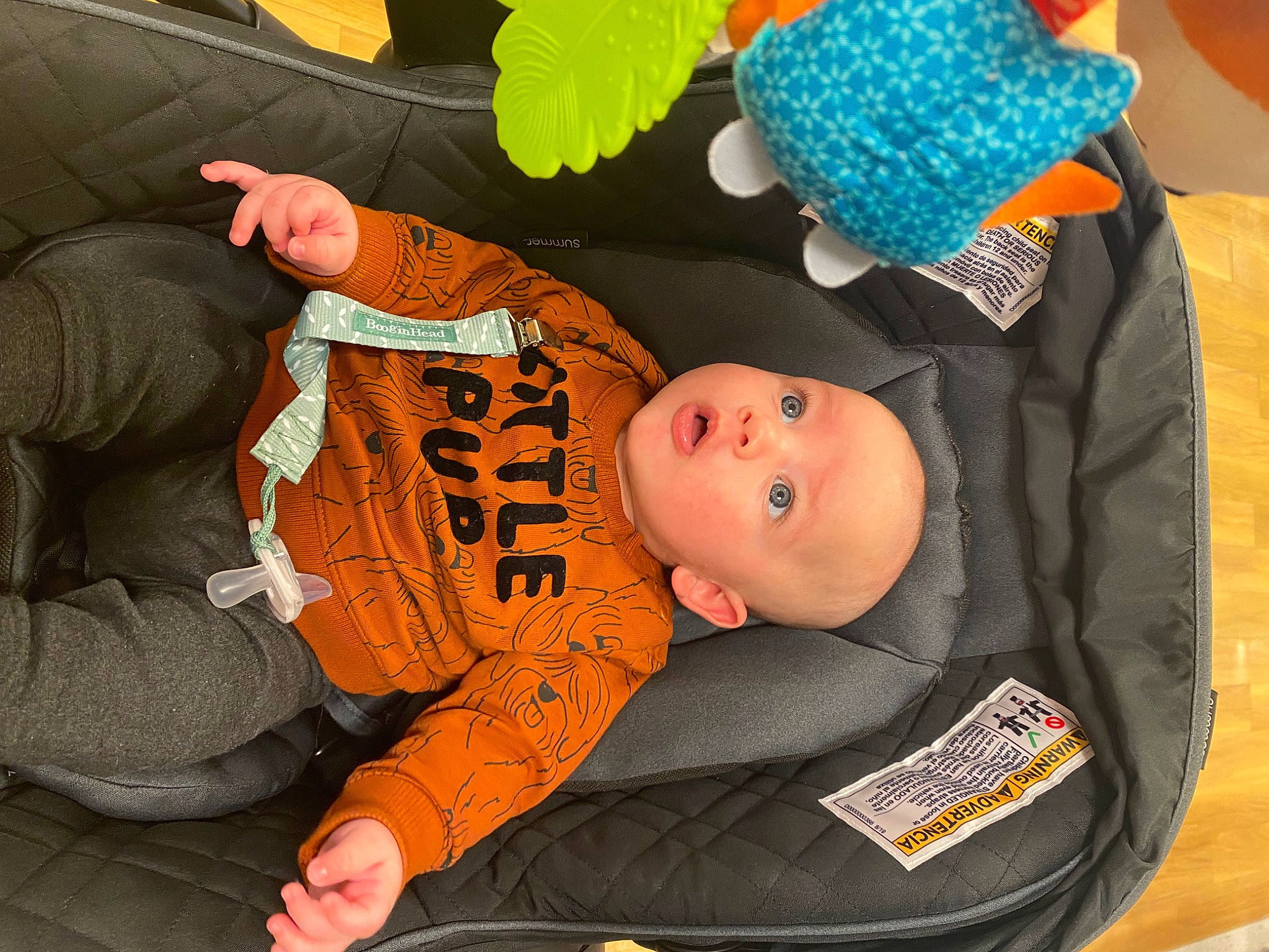 Fernando joined the competition — help win amazing prizes! baby, baby_products, baby_safety, baby_sleeping, baby_toddler_clothing, beanie, car_seat, child, comfort, costume_hat, hat, headgear, lap, orange, person, sitting, surprise, toddler