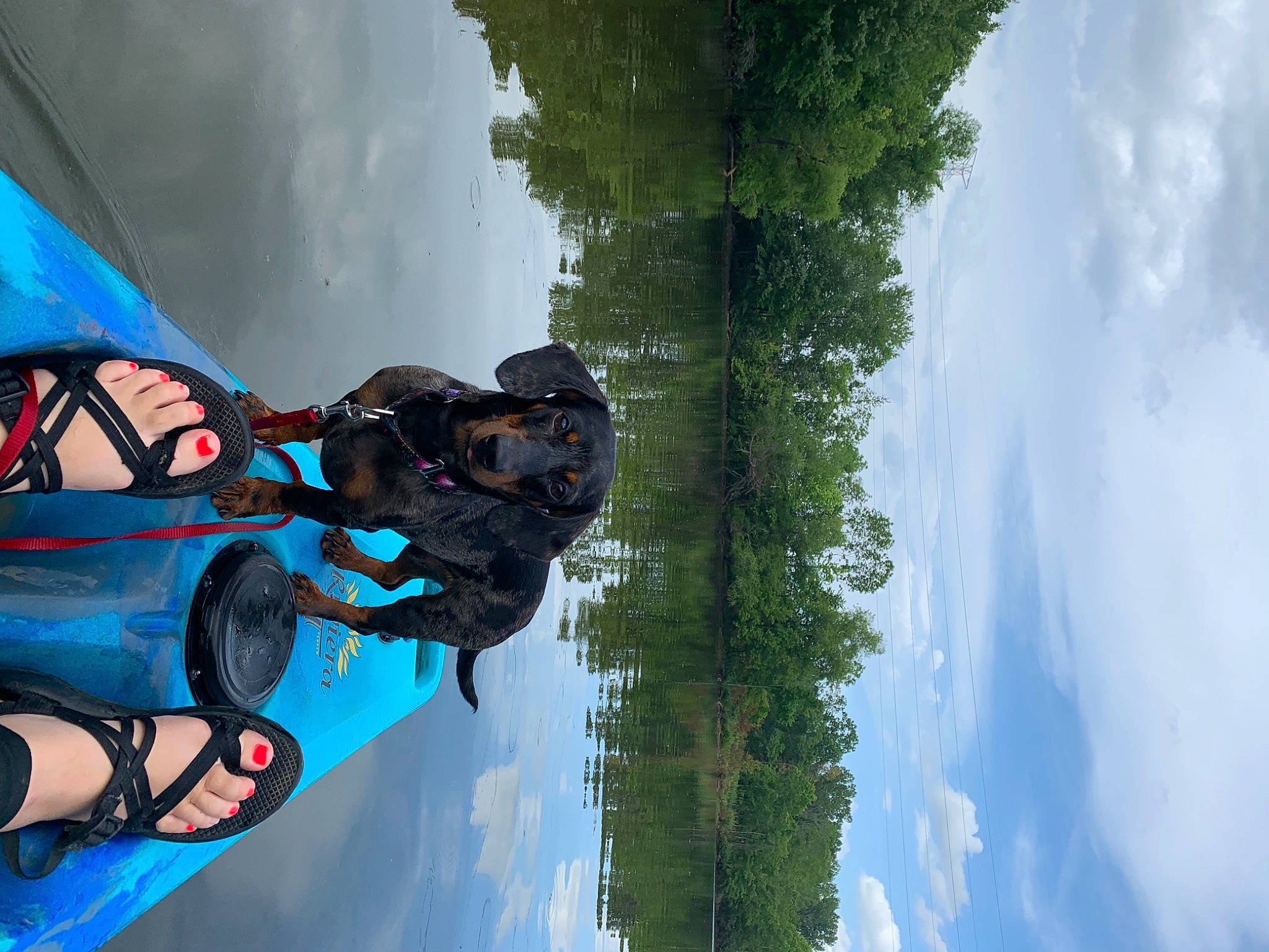 Link is registered to the contest to win money with this photo: auto_part, automotive_exterior, automotive_tire, automotive_wheel_system, bicycle_wheel, blue, cloud, helmet, land_vehicle, motor_vehicle, personal_protective_equipment, recreation, sky, sports_equipment, stunt_performer, tire, tree, vehicle, water, wheel