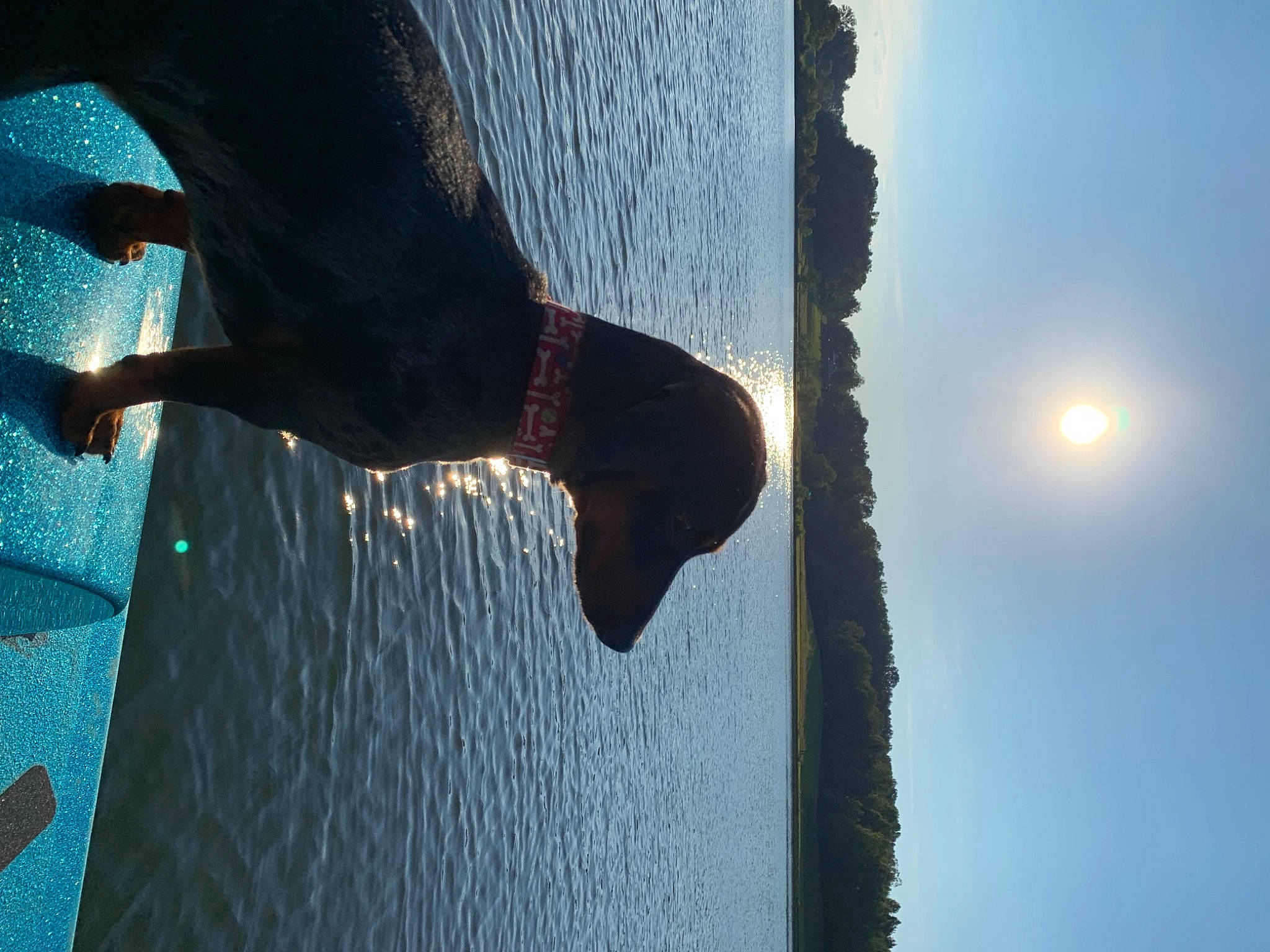 Link is registered to the contest to win money with this photo: arm, azure, blue, body_of_water, calm, elbow, gesture, hand, happy, human_body, lake, leg, people_in_nature, sky, standing, sunlight, thigh, tree, water, wood