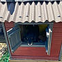 Jenco participe au concours pour gagner de l'argent avec cette photo : animal, blue_paint, canine, cozy, curious, daytime, dog, doghouse, garden, greenery, outdoor, pavement, pet, pet_house, red_paint, shadow, shutters, sunlight, window, wooden_structure