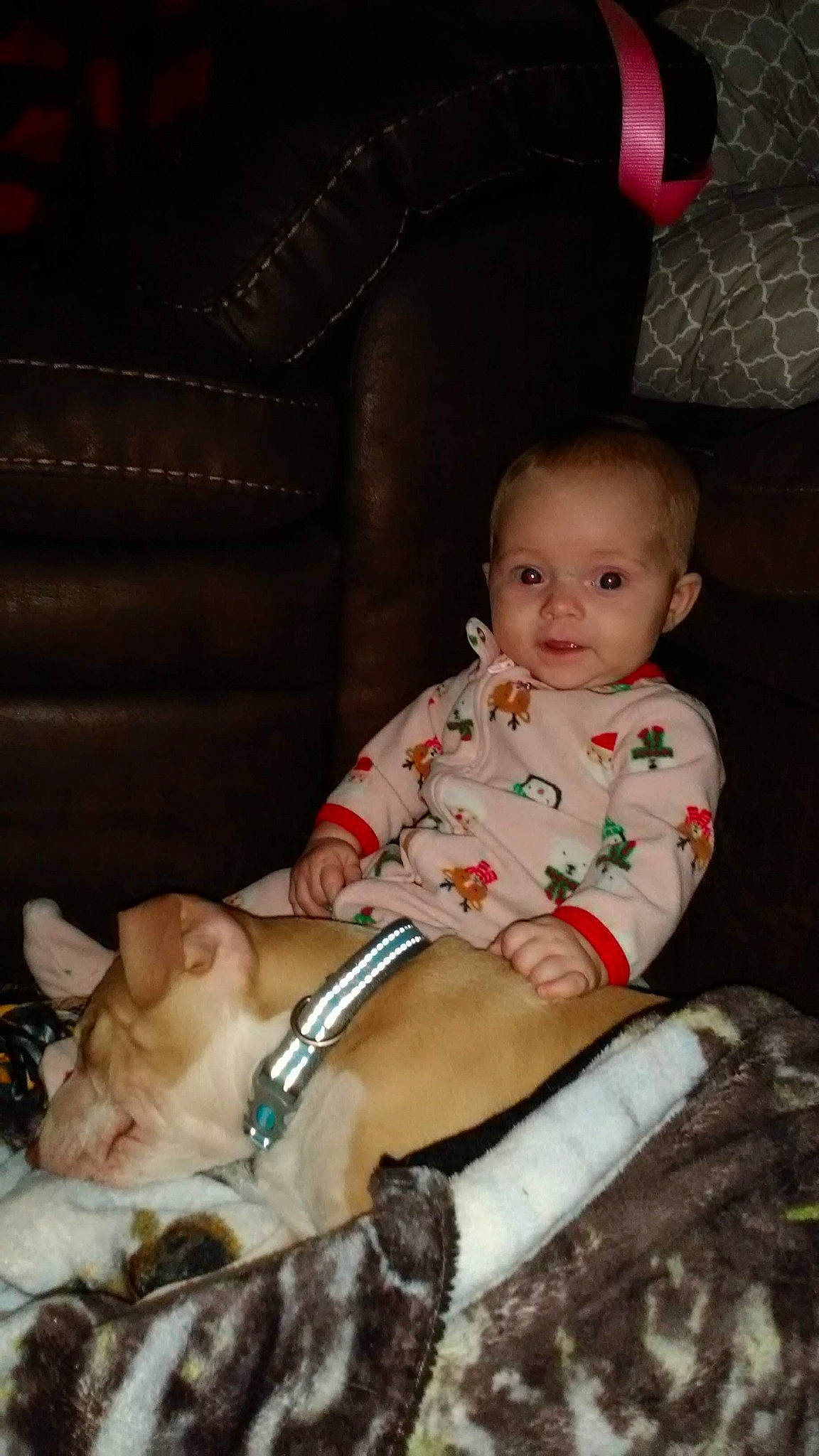 Laney joined the competition — help win amazing prizes! baby, cheek, child, eye, fawn, person, sitting, skin, smile, toddler