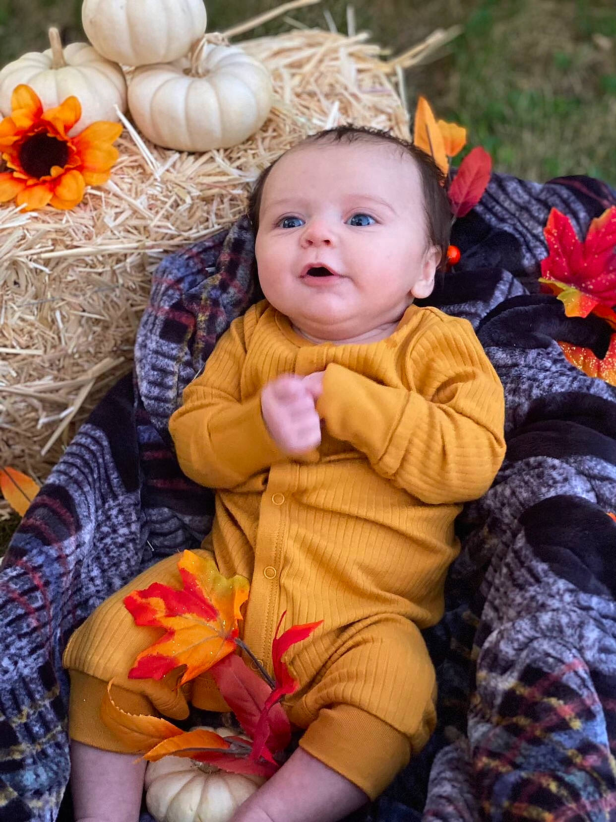 Liam is registered to the contest to win money with this photo: baby, baby_toddler_clothing, calabaza, child, event, fun, gourd, grass, happy, holiday, iris, orange, pattern, people, people_in_nature, person, plant, pumpkin, sitting, toddler