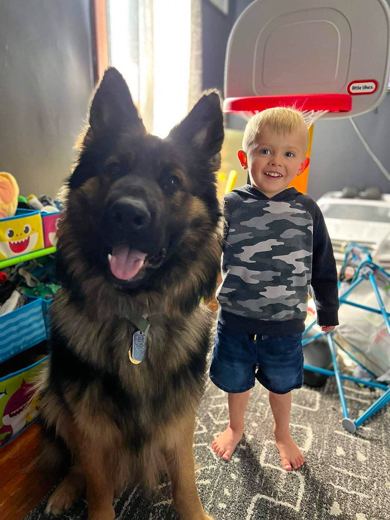 Kennedy joined the competition — help win amazing prizes! canis, carnivore, companion_dog, dog, dog_breed, dog_collar, eye, fun, fur, giant_dog_breed, happy, herding_dog, joy, person, selfie, smile, snout, sporting_group, t_shirt, toddler