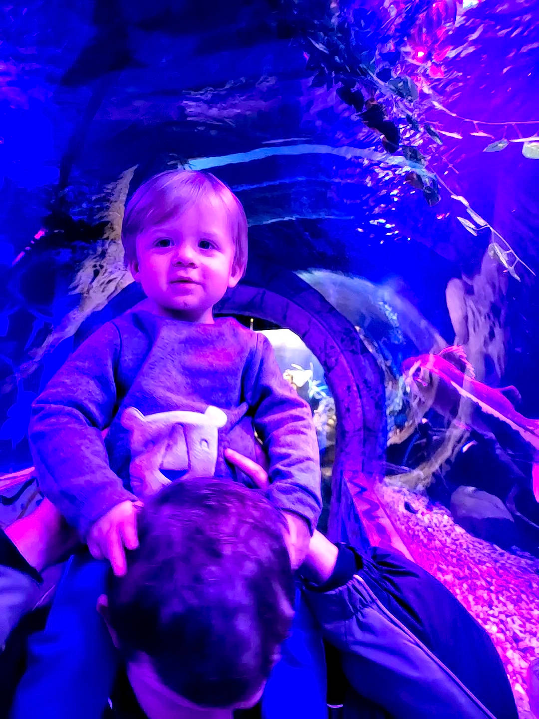 Ayden is registered to the contest to win money with this photo: baby, darkness, electric_blue, entertainment, event, fun, magenta, music, music_venue, organism, performance_art, performing_arts, person, plant, purple, space, stage, toddler, tree, violet