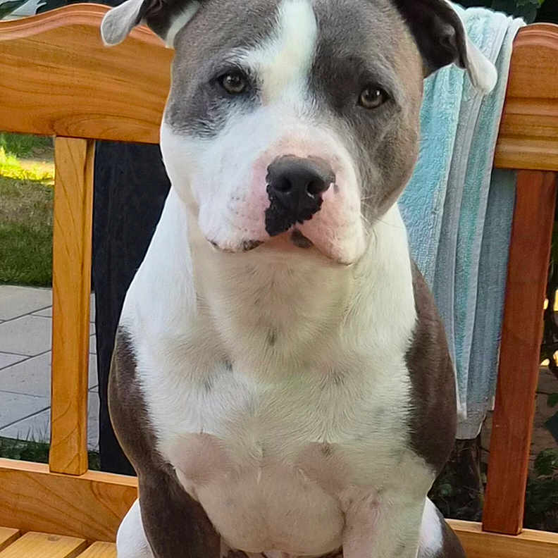 Atom