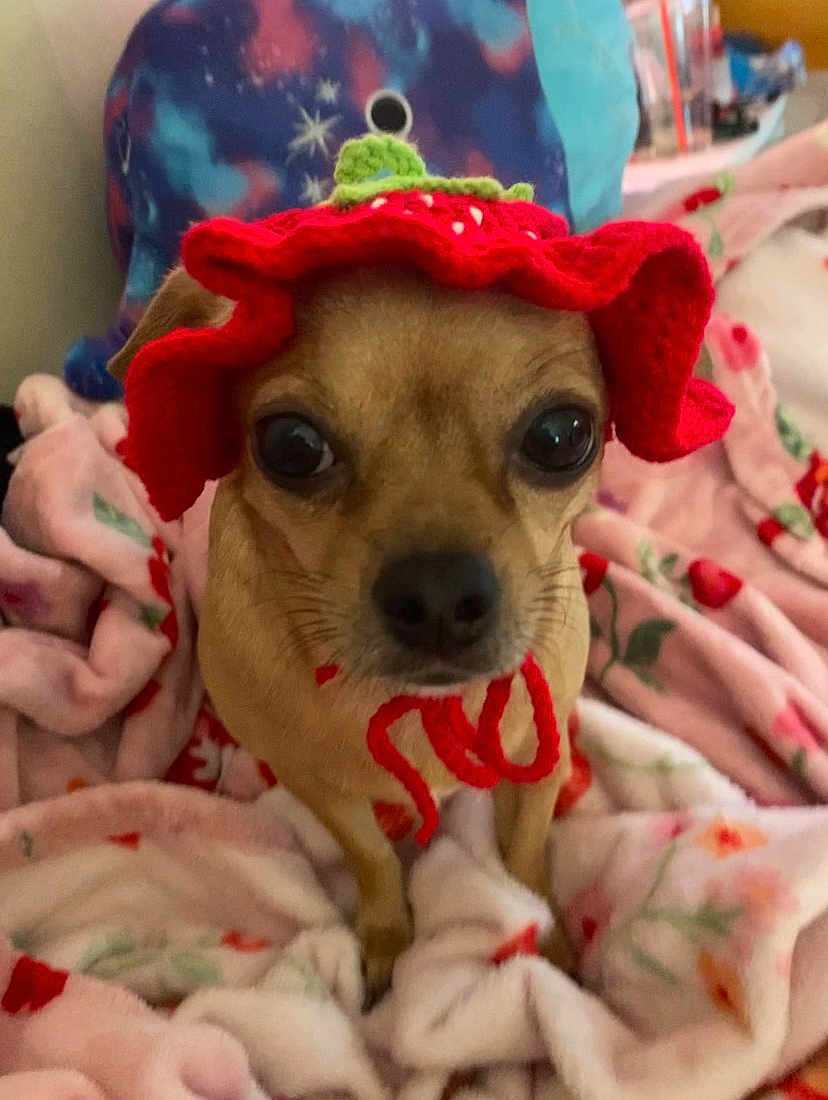 Ruby