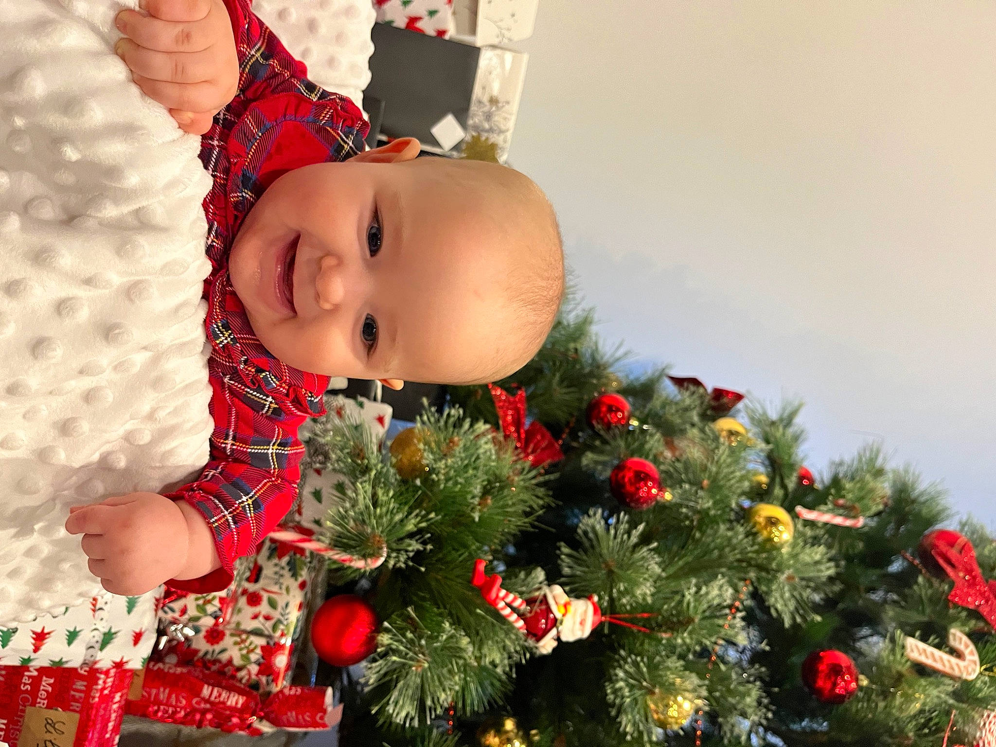 Victoire a rejoint le concours — aidez-le/la à gagner de superbes lots ! baby, baby_toddler_clothing, christmas, christmas_decoration, christmas_eve, christmas_ornament, christmas_tree, event, evergreen, grass, happy, holiday, holiday_ornament, joy, ornament, people_in_nature, person, plant, smile, toddler