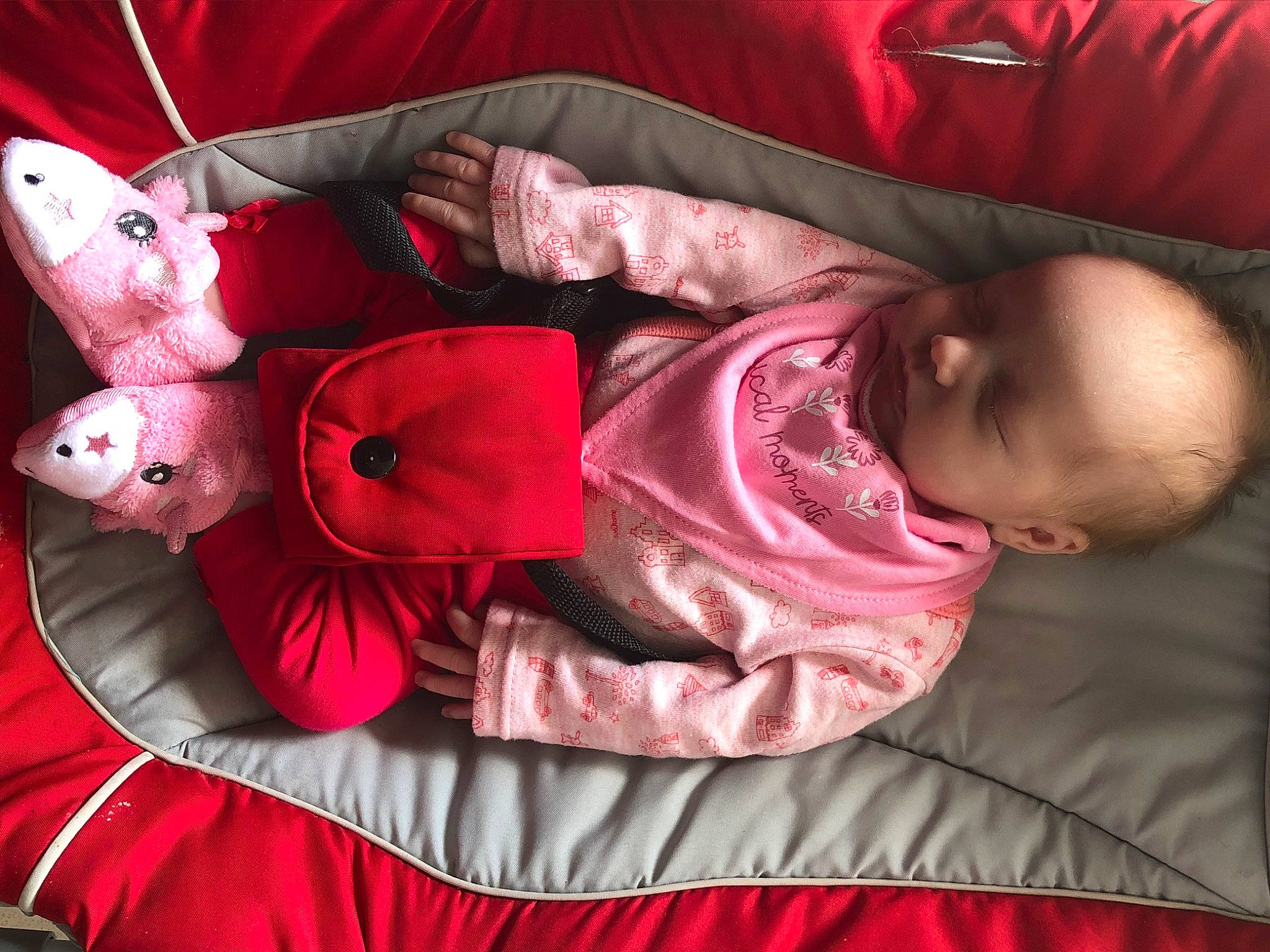 Maëlly participe au concours pour gagner de l'argent avec cette photo : baby, baby_sleeping, baby_toddler_clothing, child, comfort, flower, linens, magenta, mammal, outerwear, pattern, person, petal, pink, plant, product, red, sleeve, textile, toddler